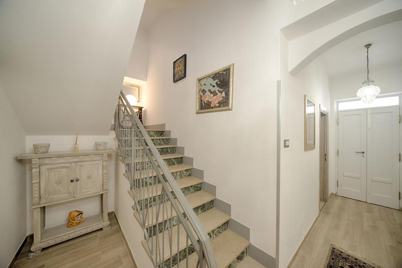 Cozy Guest House Downtown 奧爾比亞 外观 照片