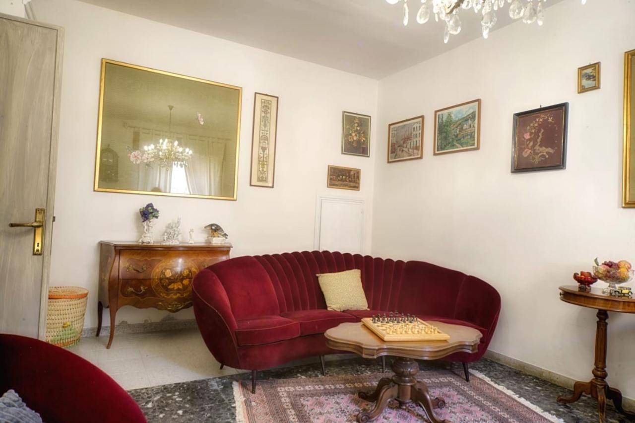 Cozy Guest House Downtown 奧爾比亞 外观 照片