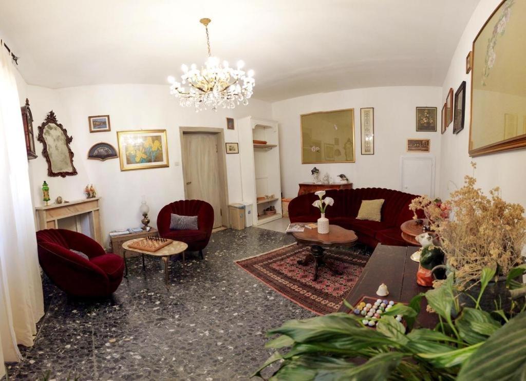 Cozy Guest House Downtown 奧爾比亞 外观 照片