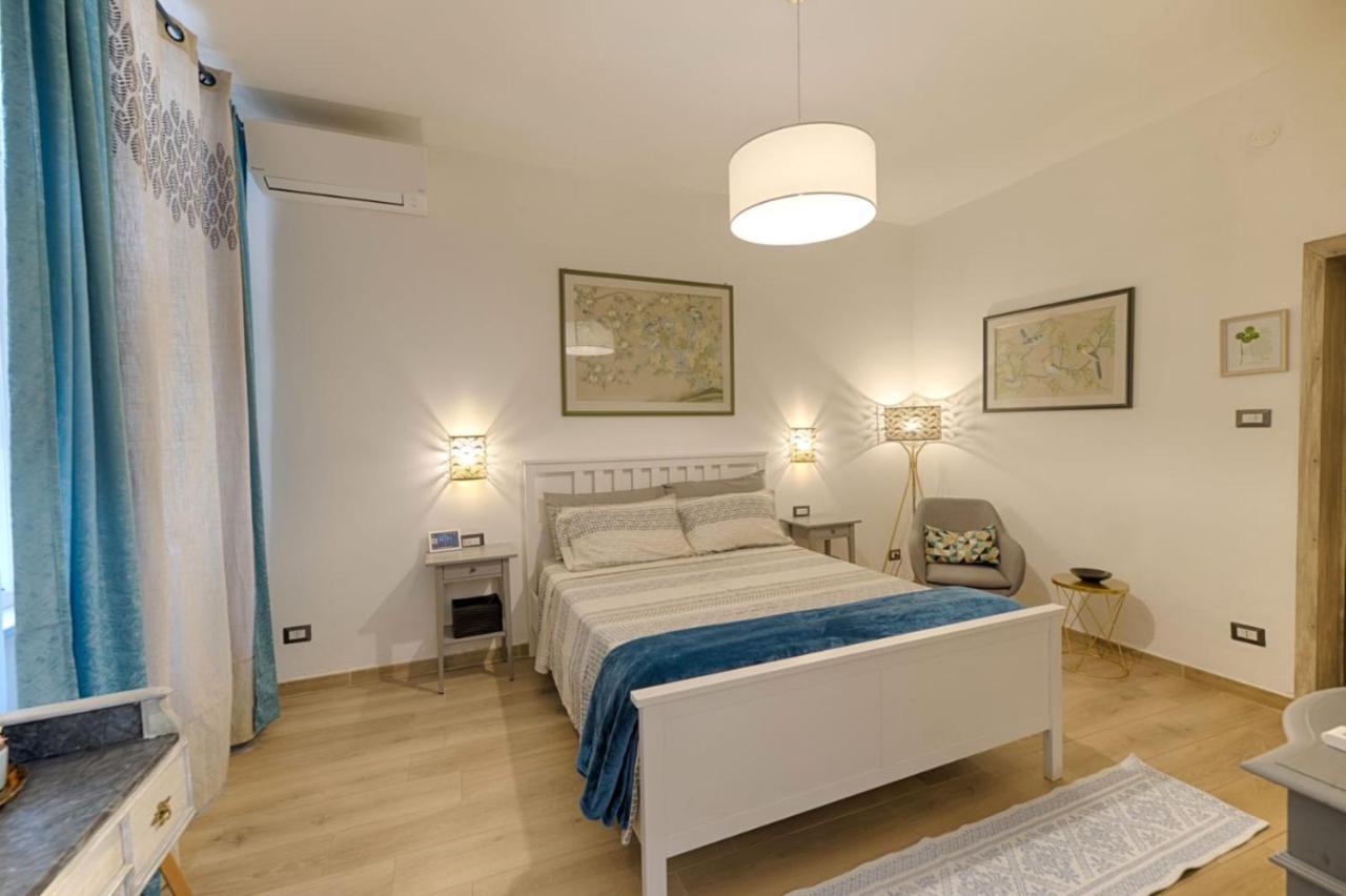 Cozy Guest House Downtown 奧爾比亞 外观 照片
